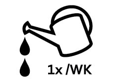 2C_Care_icon_Water