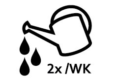 2D_Care_icon_Water